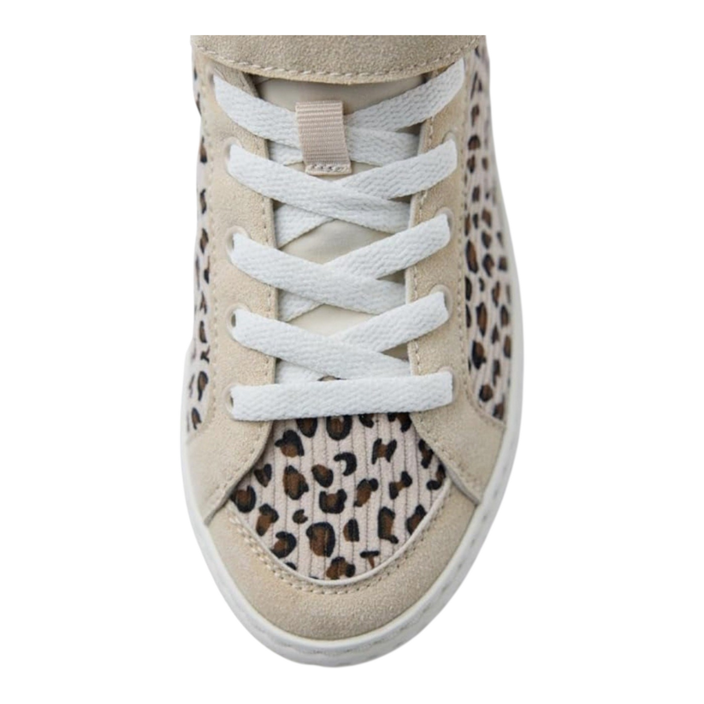 SNEAKERS GIOSEPPO